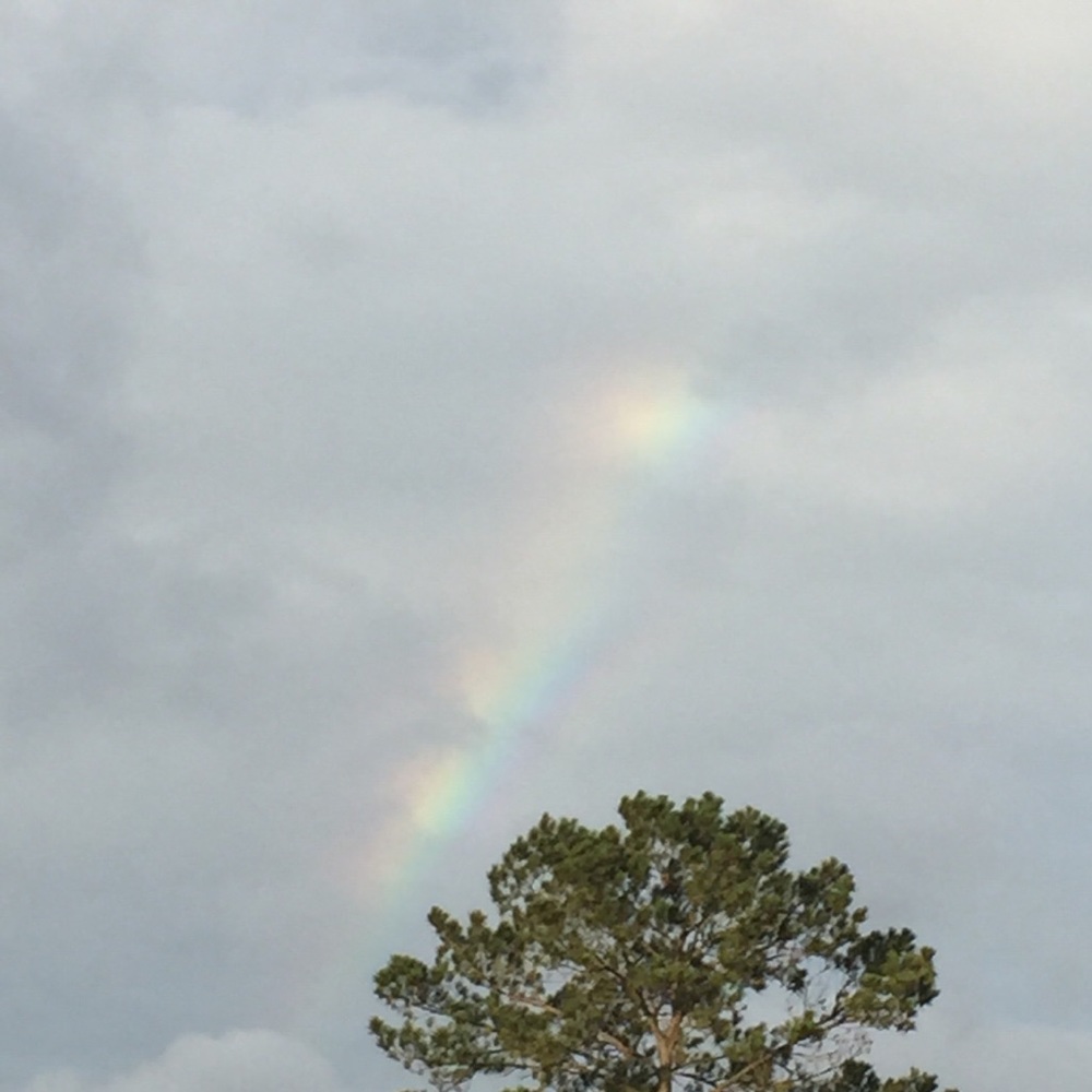 Meet your Posher, Kalee