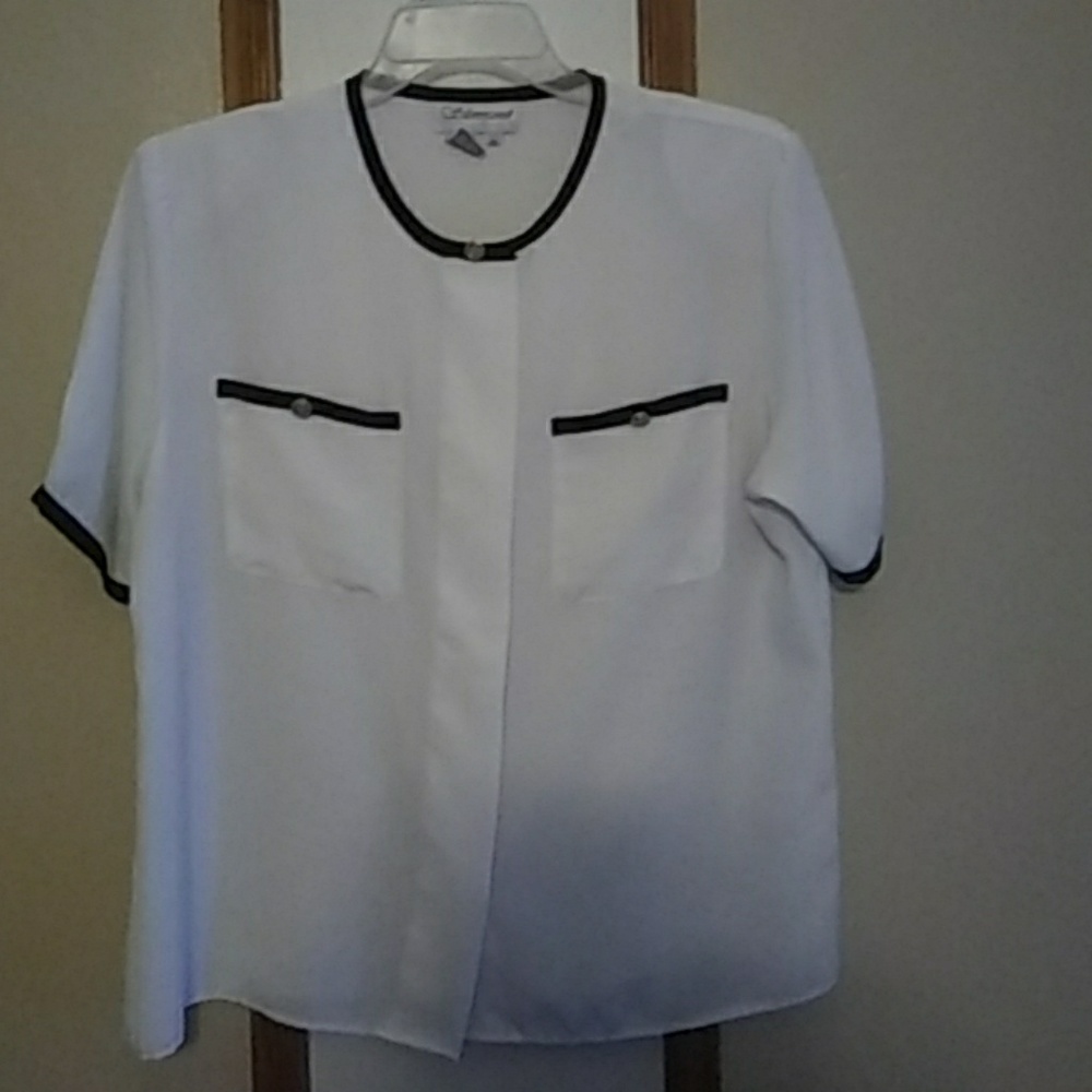 Semi Sheer Blouse