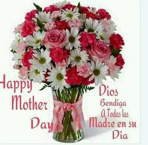 Meet your Posher, Reina