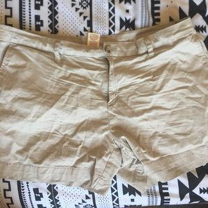Khaki Shorts