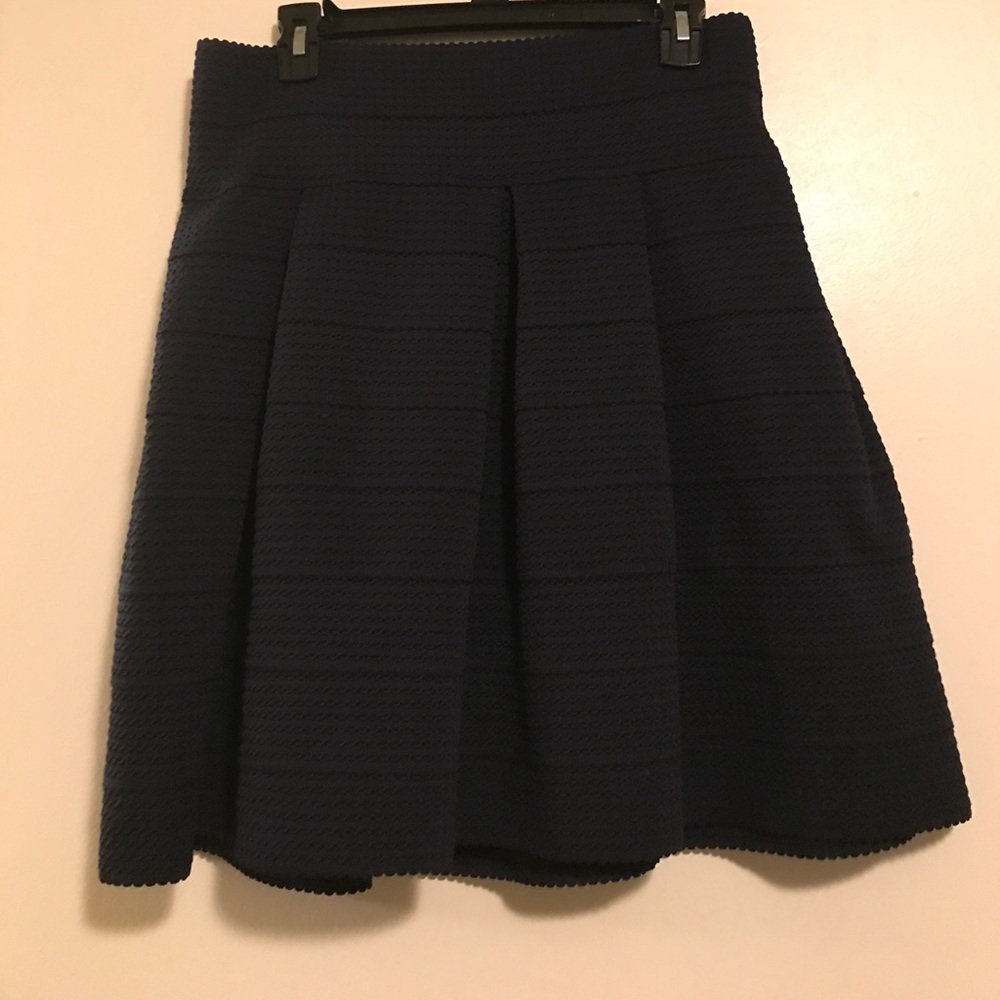 H&M Navy Blue Skirt