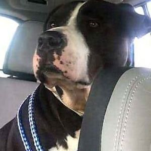 Meet your Posher, Carla