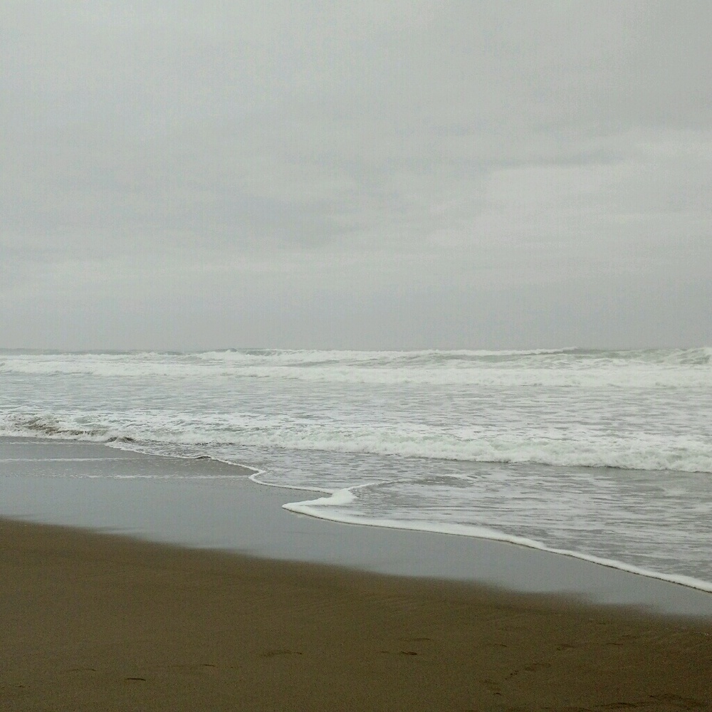 Meet your Posher, Nikita