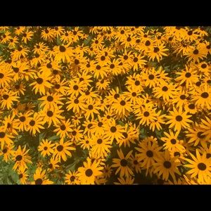 Meet your Posher, Barb