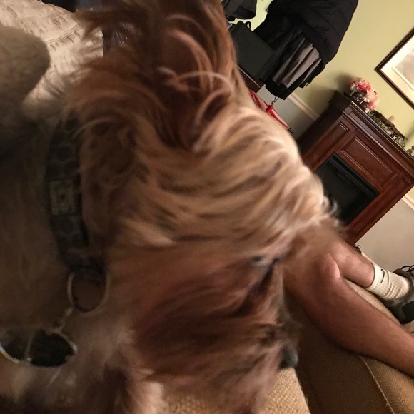 Meet your Posher, Matthew - Picture 1 of 1