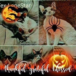 Meet your Posher, Sofia