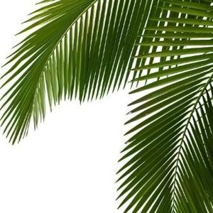 Meet your Posher, Lucy