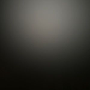 Meet your Posher, Bernardo