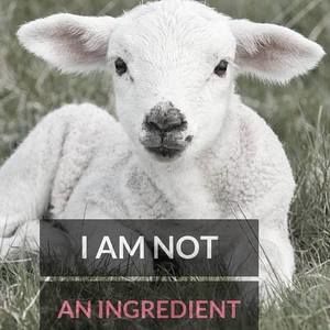 Meet your Posher, Olga