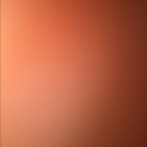 Meet your Posher, Allen