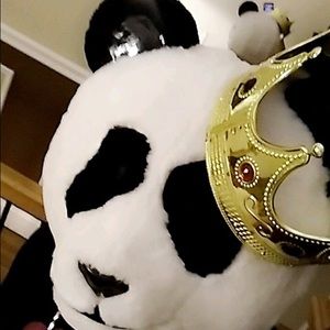 Meet your Posher, Frank