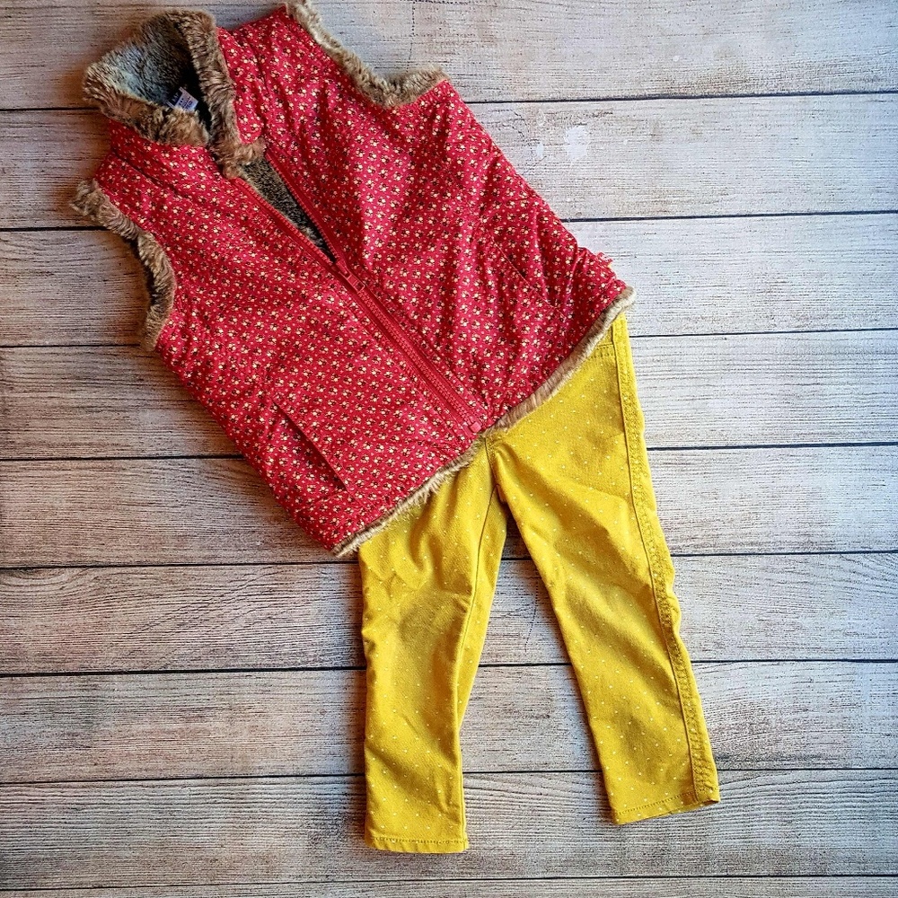 Size 2T little girls Fall outfit. Gap/Target