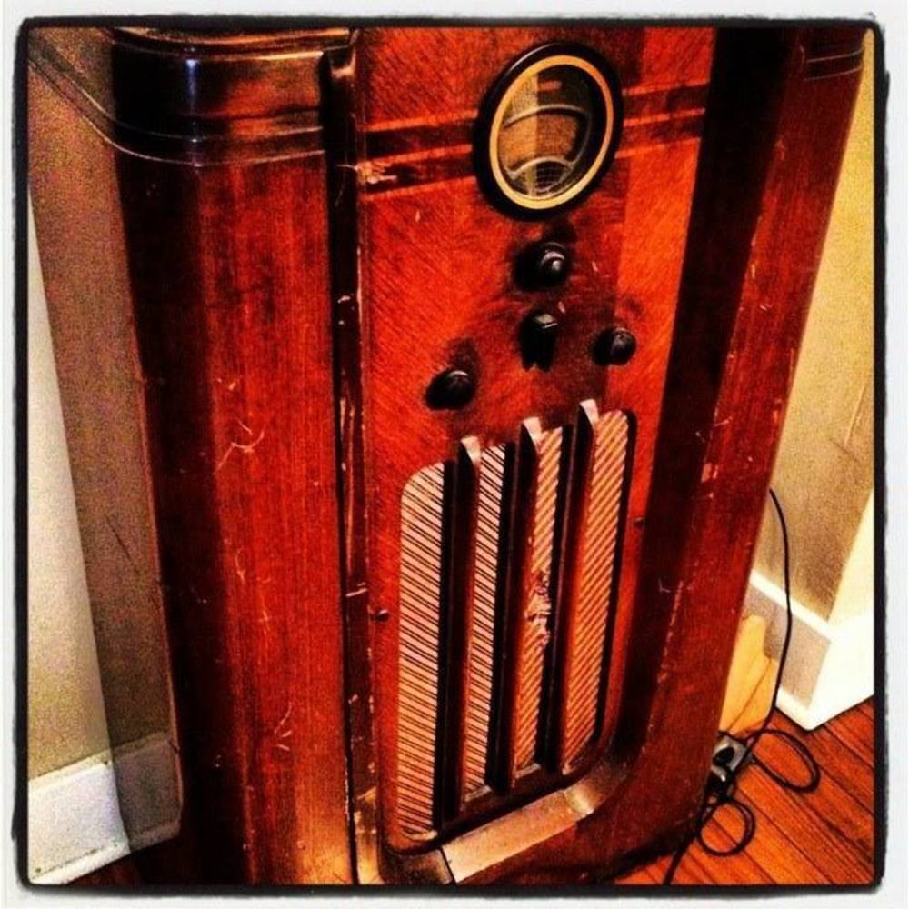 Meet your Posher, Holly