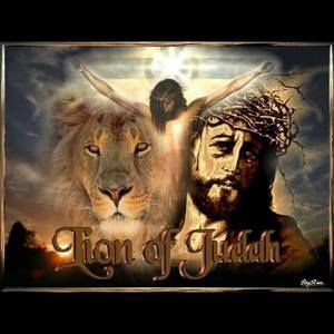 Meet your Posher, Dalen