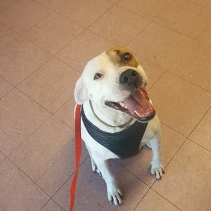 Meet your Posher, Arthurlon