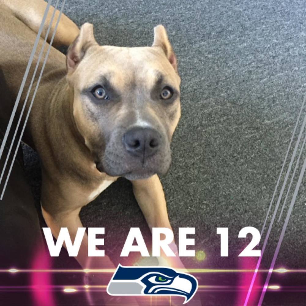 Meet your Posher, April