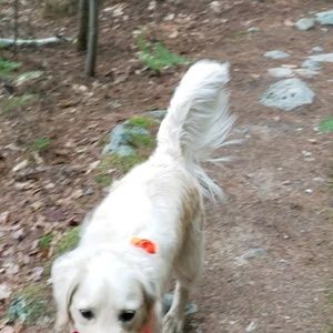 Meet your Posher, Barbara