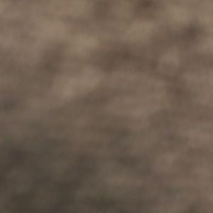 Meet your Posher, Kaleigh