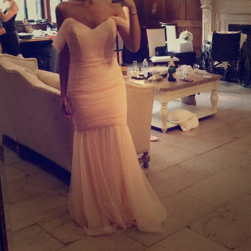 Amsale blush gown