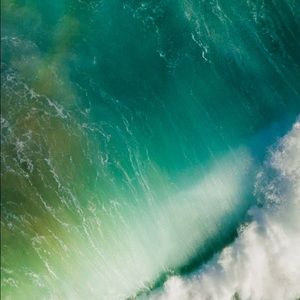 Meet your Posher, Robbie