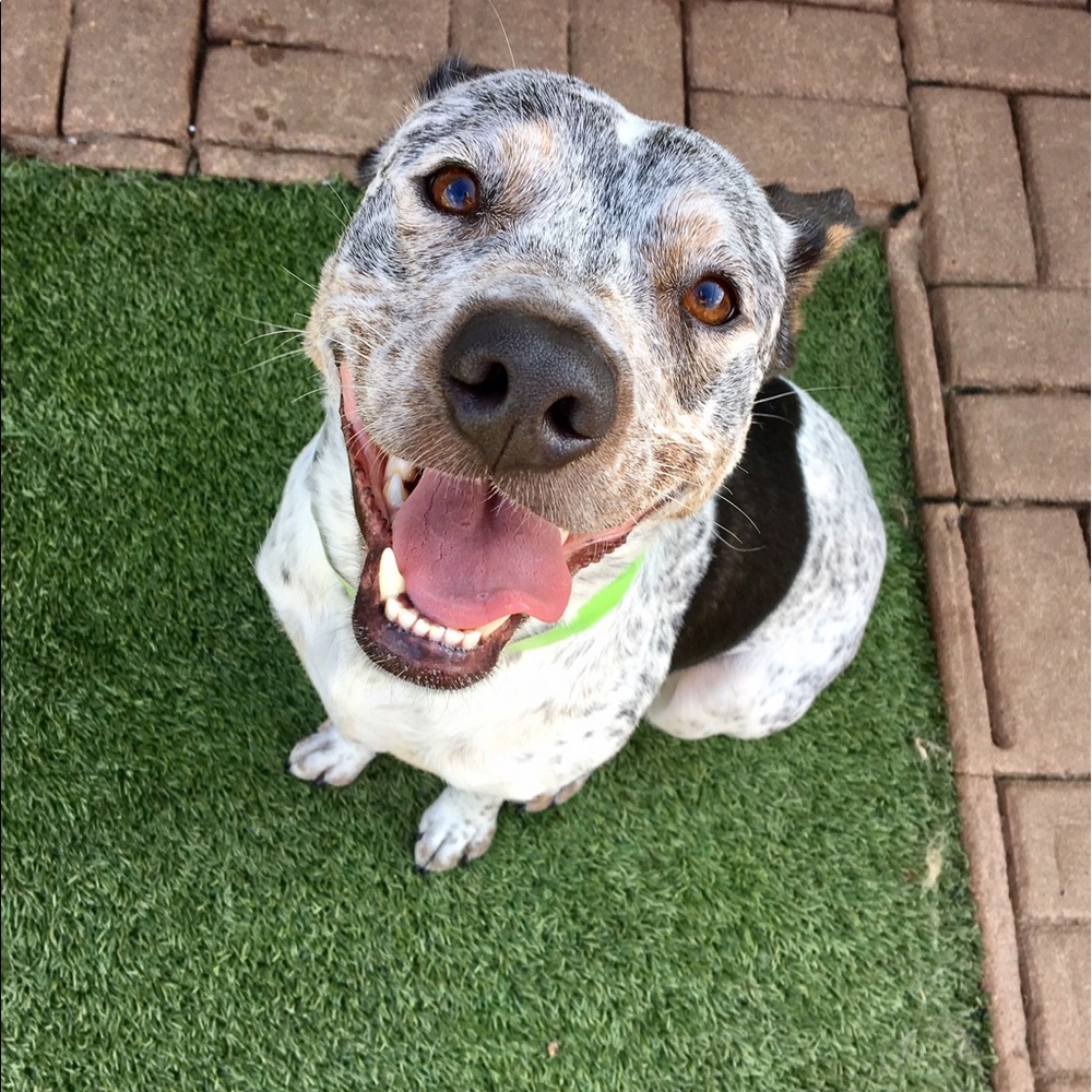 Meet your Posher, Maddie