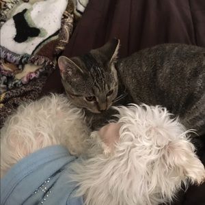 Meet your Posher, Grace