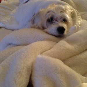 Meet your Posher, Sue