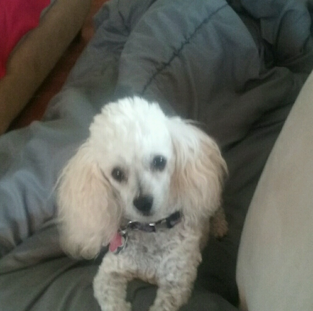 Meet your Posher, E.