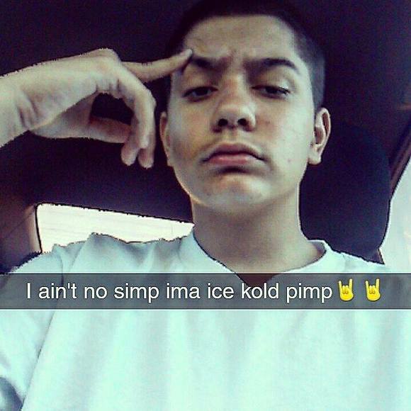 Meet your Posher, Lorenzo - Picture 1 of 1