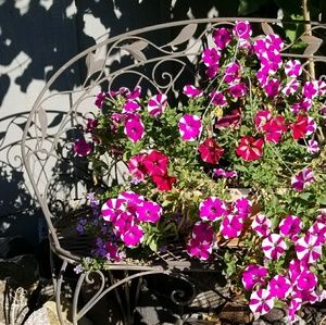 Meet your Posher, Carla