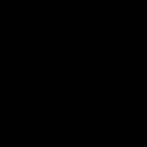 Meet your Posher, Chase