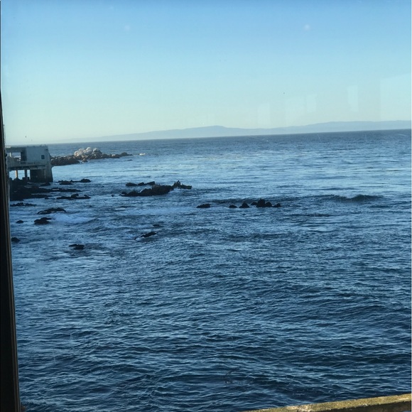 Meet your Posher, Lisa - Picture 2 of 2