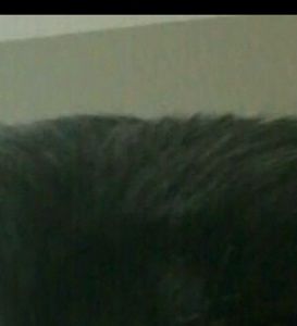 Meet your Posher, Bernice