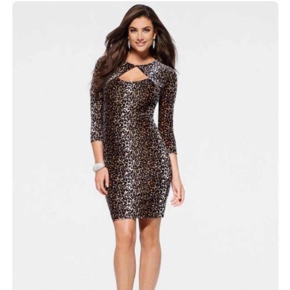 Beautiful Cache Leopard velvet dress size 10 💕