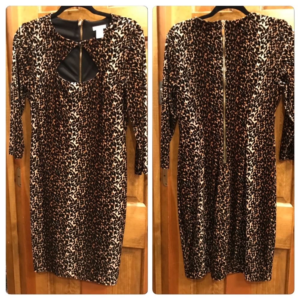 Beautiful Cache Leopard velvet dress size 10 ๐ - Picture 2 of 4
