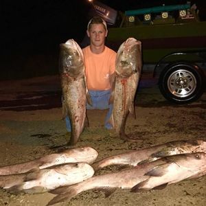 Meet your Posher, Will