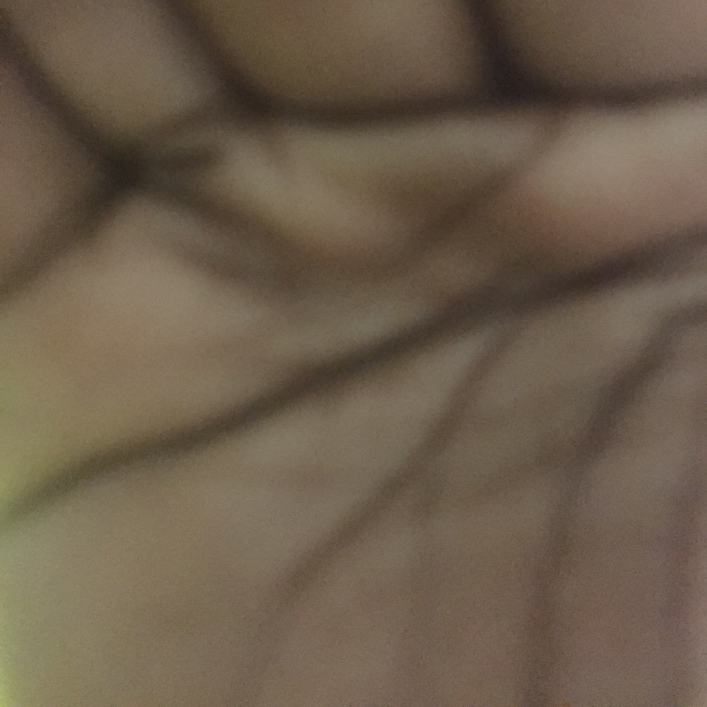 Meet your Posher, Dantee