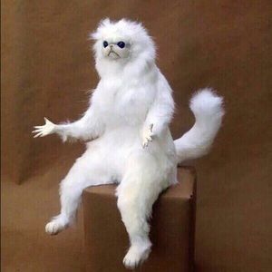 Meet your Posher, Dylan