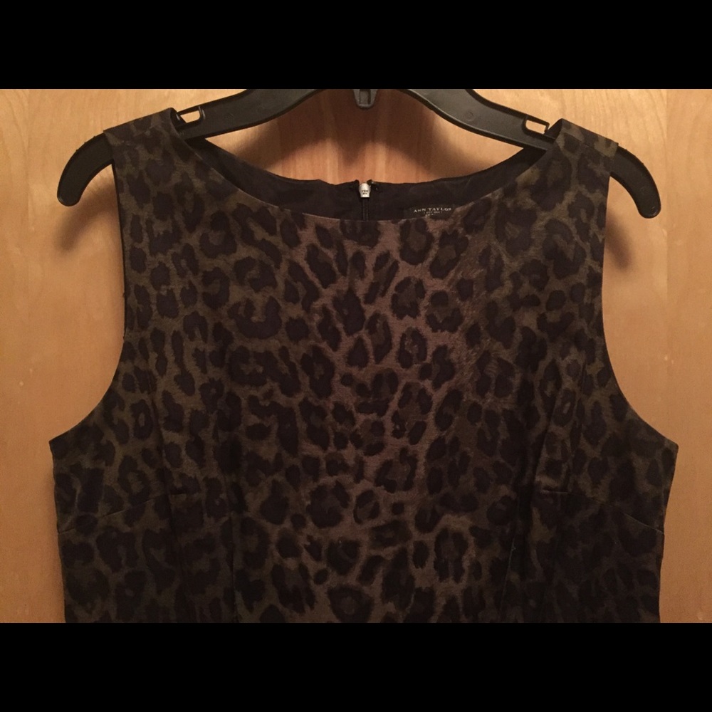 Ann Taylor Dress
