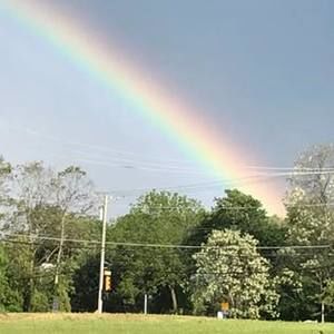 Meet your Posher, Diane