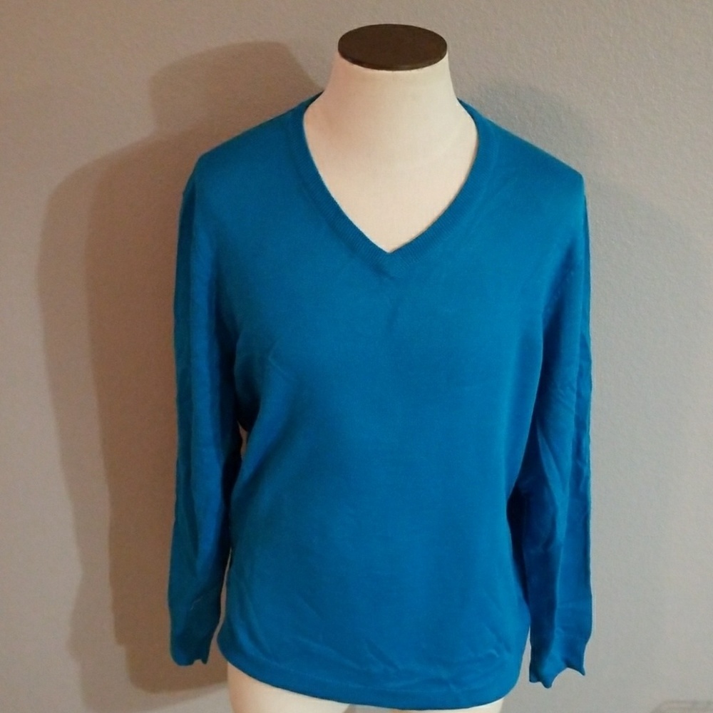 (NWT) Blue V-Neck Sweater