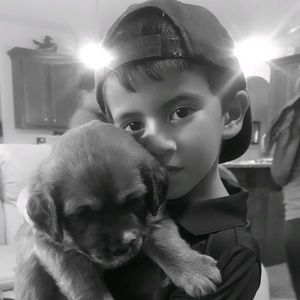 Meet your Posher, Lea