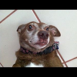 Meet your Posher, Eyleen