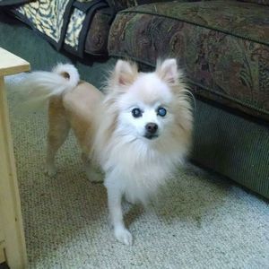 Meet your Posher, Maribel