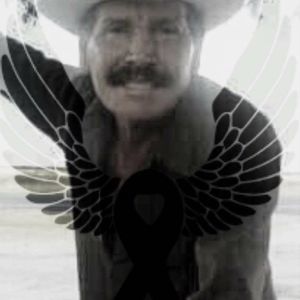 Meet your Posher, Cynthia