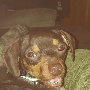 Meet your Posher, Jamie