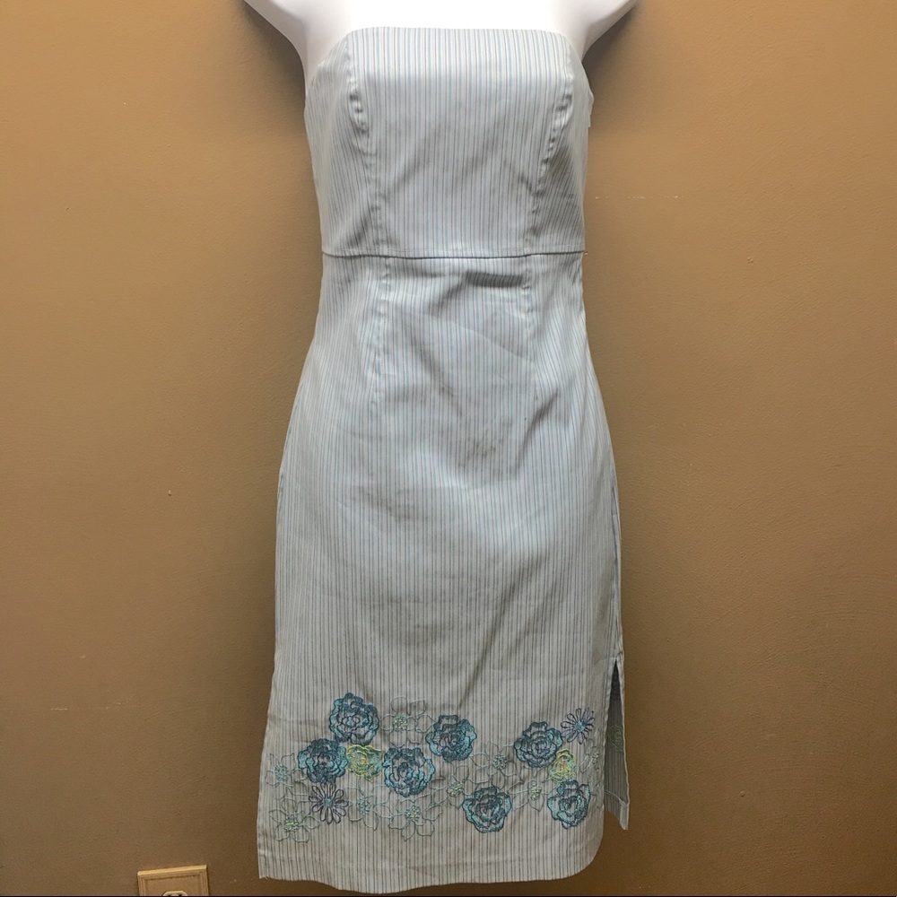 Express Strapless Dress
