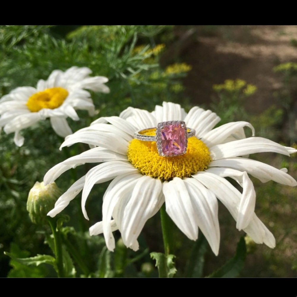 Meet your Posher, Zuoguan