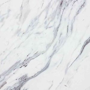 Meet your Posher, Malia