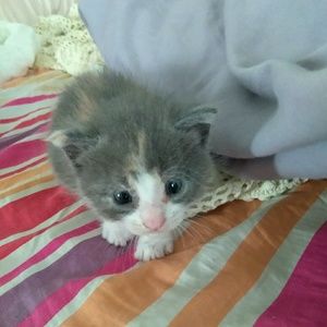 Meet your Posher, Renae